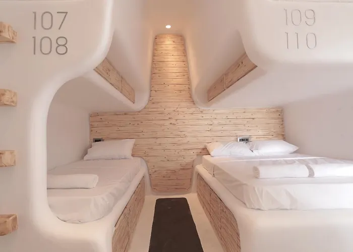 אכסניה Mycocoon