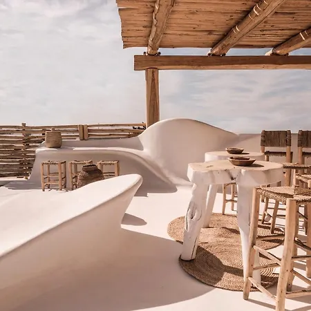شباب Mycocoon